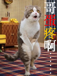 shinjohn