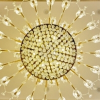 飞鸣