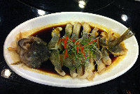 yangyue7658