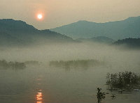 维生素YJC