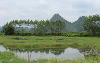 ouyyusha