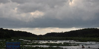 matt345