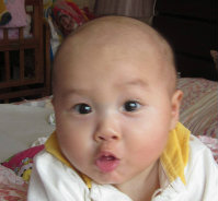 web_xiaoyong