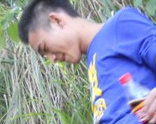 qq402671822