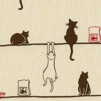 兰静静