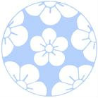 青萝77