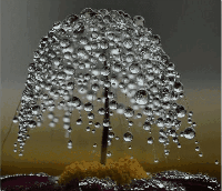 雨轩ing