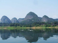 samcheng