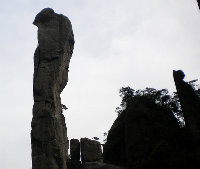 ys02leebo