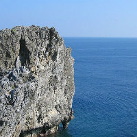 mishaojun