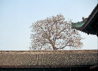 那人低头