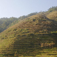 wojiadudu