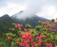 吴小米