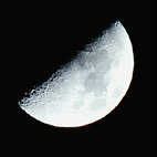 c2354946