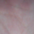 xincha00