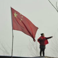 阳和春苗
