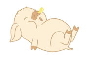 晓晓熏衣