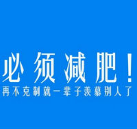 人称小肥狗