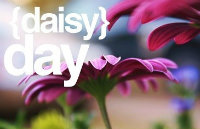 Daisy.Y