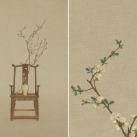 meiguihua2012