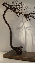 糖醋鱼白骨