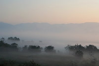 huqipeng031