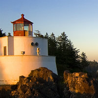 wzq1211