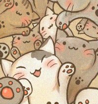 小虞小猫