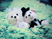 chenliclcl11
