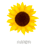 呆呆呆呆