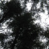 ArSitu