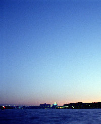 lxj_666
