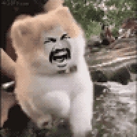 .
