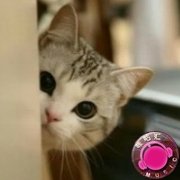 光阴的故事