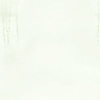 刘冬梅lyby