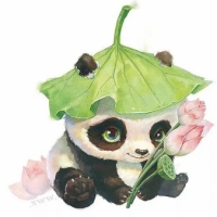 鱼和猫的故事