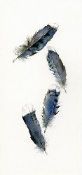 黄梅。。。