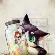 黑主优姬FEI