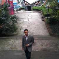Sugar_d459e
