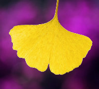 新起点01