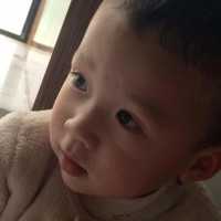 左眼多情