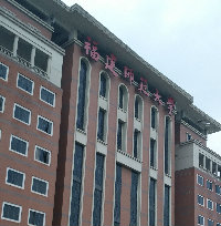 子鹰