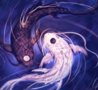 designer_wu