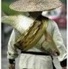 太初