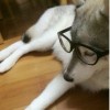 伽蓝之洞