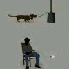 无风的筝