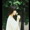 北岸云々向西