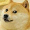 独孤九贱