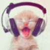 听着耳机的猫