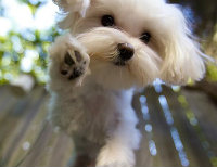 peaches0823